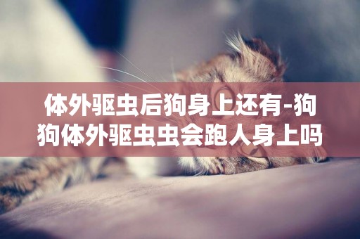 體外驅蟲后狗身上還有-狗狗體外驅蟲蟲會跑人身上嗎