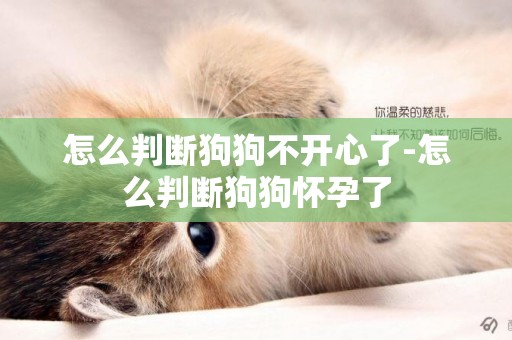 怎么判斷狗狗不開心了-怎么判斷狗狗懷孕了