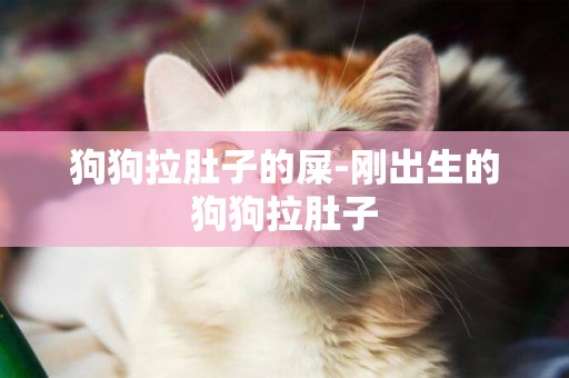狗狗拉肚子的屎-剛出生的狗狗拉肚子