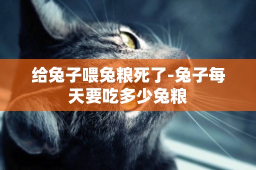 給兔子喂兔糧死了-兔子每天要吃多少兔糧