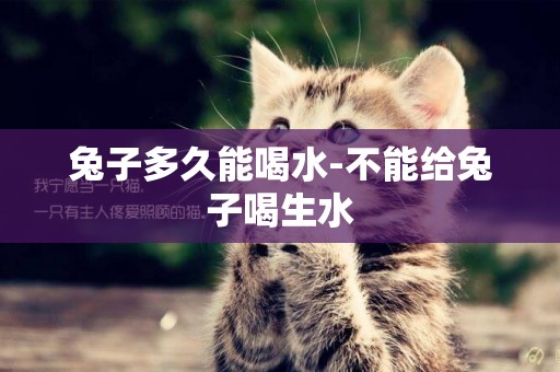 兔子多久能喝水-不能給兔子喝生水