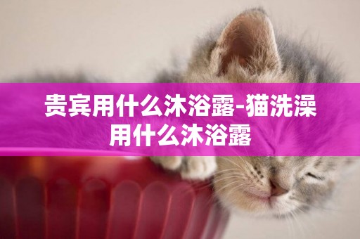 貴賓用什么沐浴露-貓洗澡用什么沐浴露