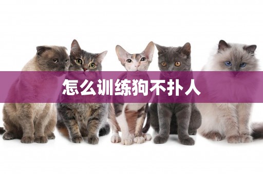 怎么訓練狗不撲人