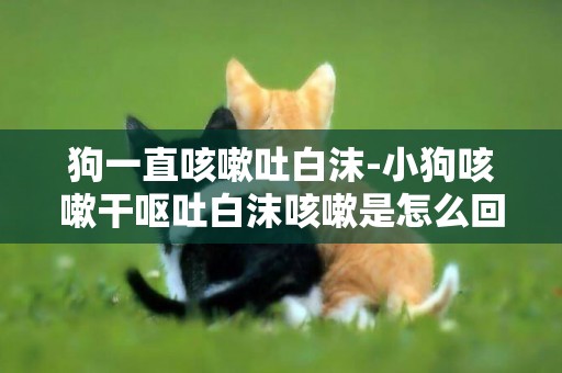 狗一直咳嗽吐白沫-小狗咳嗽干嘔吐白沫咳嗽是怎么回事
