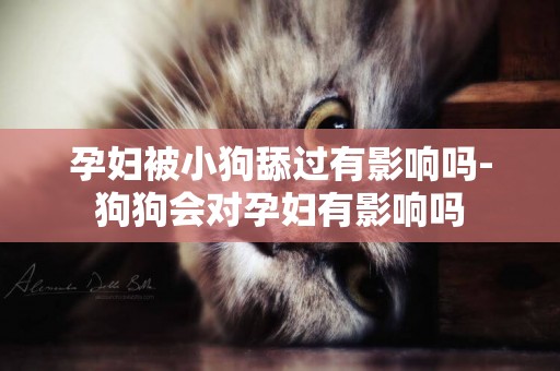 孕婦被小狗舔過有影響嗎-狗狗會對孕婦有影響嗎
