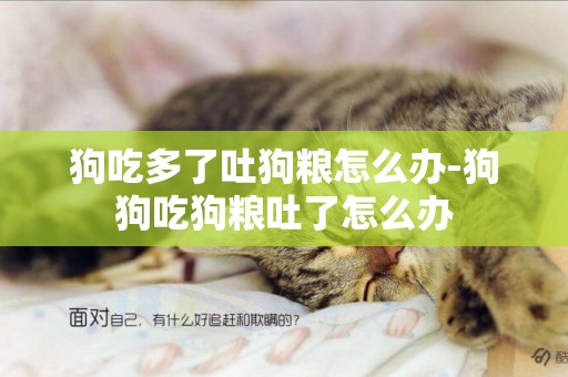 狗吃多了吐狗糧怎么辦-狗狗吃狗糧吐了怎么辦