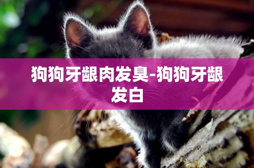 狗狗牙齦肉發臭-狗狗牙齦發白