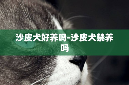 沙皮犬好養嗎-沙皮犬禁養嗎