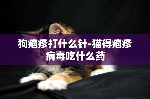 狗皰疹打什么針-貓得皰疹病毒吃什么藥