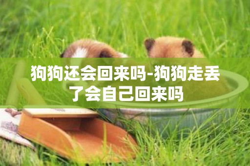 狗狗還會回來嗎-狗狗走丟了會自己回來嗎