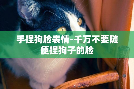 手捏狗臉表情-千萬不要隨便捏狗子的臉