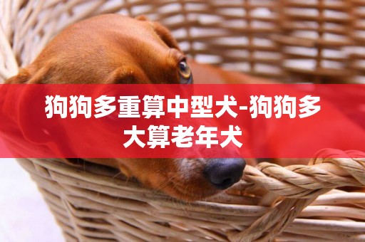 狗狗多重算中型犬-狗狗多大算老年犬