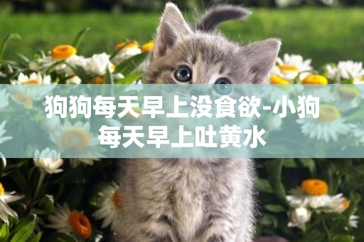 狗狗每天早上沒食欲-小狗每天早上吐黃水