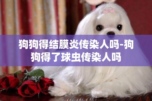 狗狗得結膜炎傳染人嗎-狗狗得了球蟲傳染人嗎