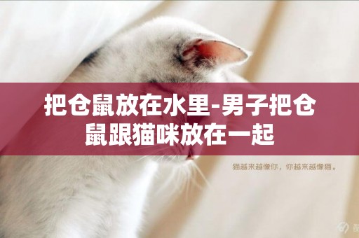 把倉鼠放在水里-男子把倉鼠跟貓咪放在一起