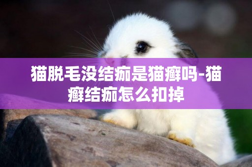 貓脫毛沒結痂是貓癬嗎-貓癬結痂怎么扣掉