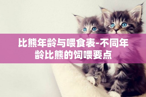 比熊年齡與喂食表-不同年齡比熊的飼喂要點