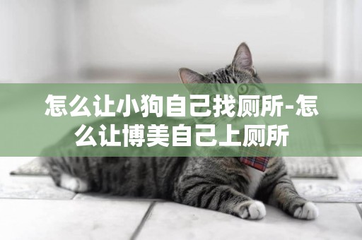 怎么讓小狗自己找廁所-怎么讓博美自己上廁所