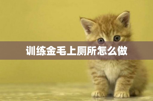 訓練金毛上廁所怎么做