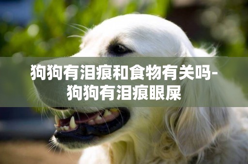 狗狗有淚痕和食物有關嗎-狗狗有淚痕眼屎