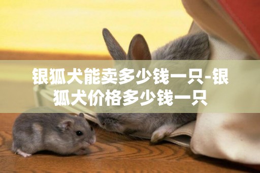 銀狐犬能賣多少錢一只-銀狐犬價格多少錢一只