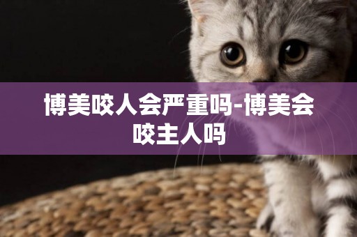 博美咬人會嚴重嗎-博美會咬主人嗎