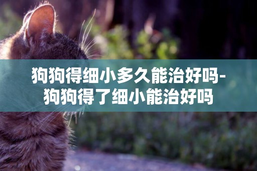 狗狗得細小多久能治好嗎-狗狗得了細小能治好嗎