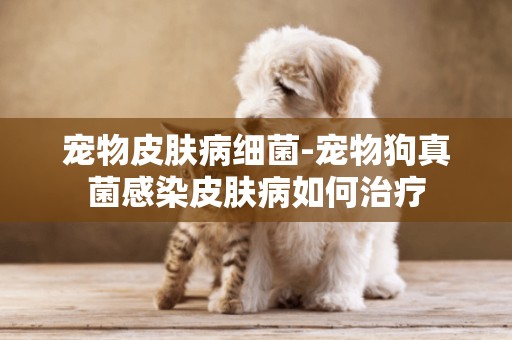 寵物皮膚病細菌-寵物狗真菌感染皮膚病如何治療