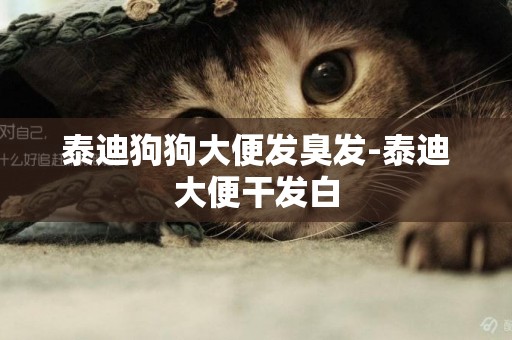 泰迪狗狗大便發臭發-泰迪大便干發白