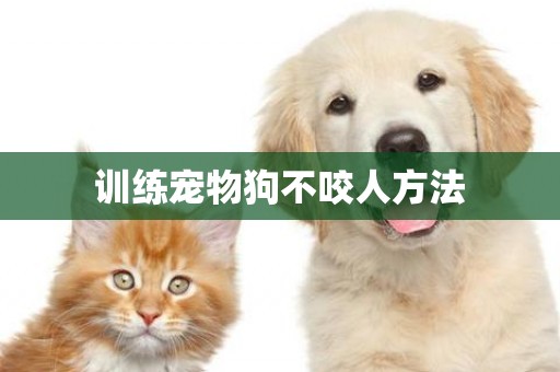 訓練寵物狗不咬人方法