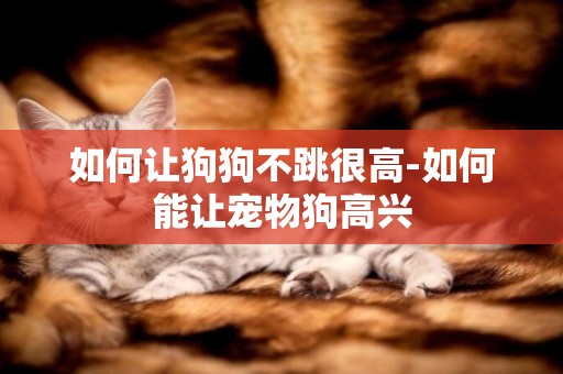 如何讓狗狗不跳很高-如何能讓寵物狗高興