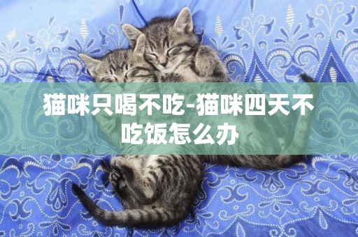 貓咪只喝不吃-貓咪四天不吃飯怎么辦