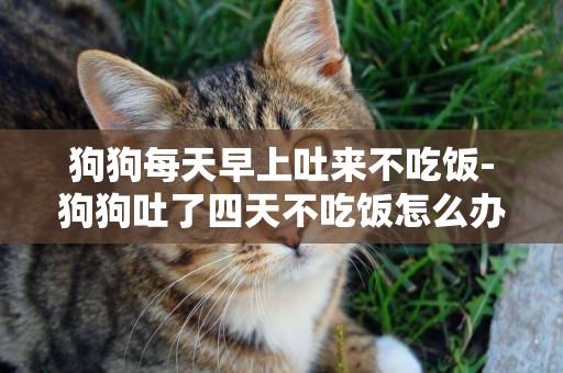 狗狗每天早上吐來不吃飯-狗狗吐了四天不吃飯怎么辦
