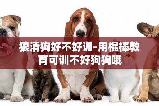 狼清狗好不好訓-用棍棒教育可訓不好狗狗哦