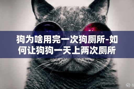 狗為啥用完一次狗廁所-如何讓狗狗一天上兩次廁所