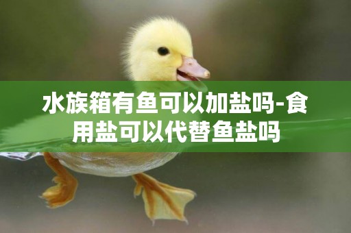 水族箱有魚可以加鹽嗎-食用鹽可以代替魚鹽嗎