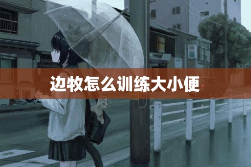 邊牧怎么訓練大小便