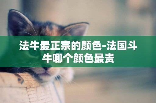 法牛最正宗的顏色-法國斗牛哪個顏色最貴