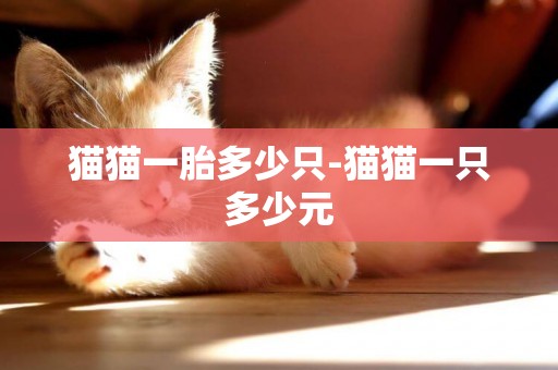 貓貓一胎多少只-貓貓一只多少元