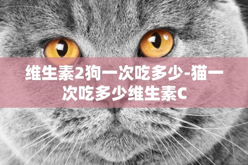維生素2狗一次吃多少-貓一次吃多少維生素C