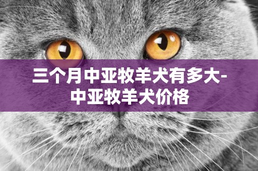三個月中亞牧羊犬有多大-中亞牧羊犬價格
