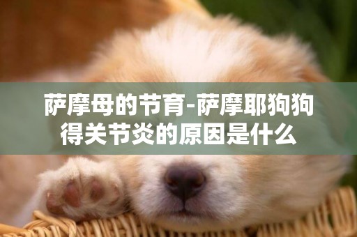 薩摩母的節育-薩摩耶狗狗得關節炎的原因是什么