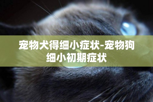 寵物犬得細小癥狀-寵物狗細小初期癥狀