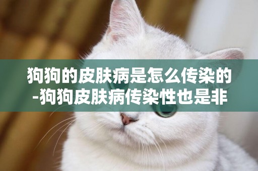狗狗的皮膚病是怎么傳染的-狗狗皮膚病傳染性也是非常大的