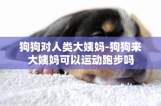 狗狗對人類大姨媽-狗狗來大姨媽可以運動跑步嗎