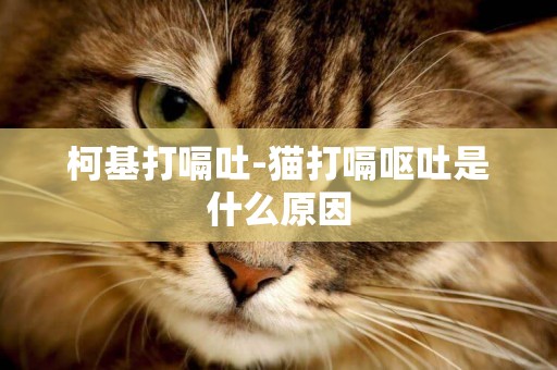 柯基打嗝吐-貓打嗝嘔吐是什么原因