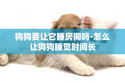 狗狗要讓它睡房間嗎-怎么讓狗狗睡覺時間長