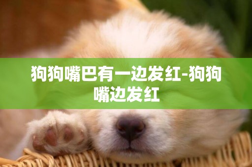 狗狗嘴巴有一邊發紅-狗狗嘴邊發紅