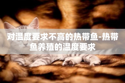 對溫度要求不高的熱帶魚-熱帶魚養殖的溫度要求
