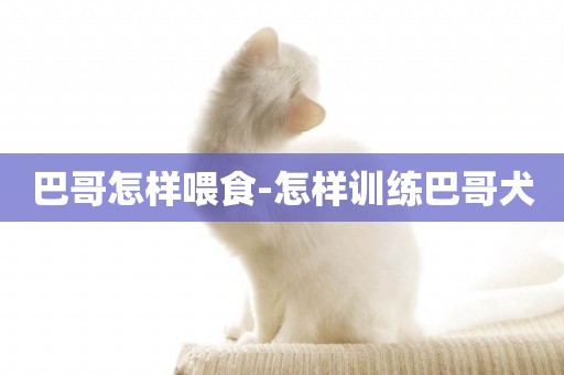 巴哥怎樣喂食-怎樣訓練巴哥犬